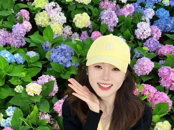 上岸！深圳海关！